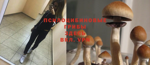 MDMA Абаза