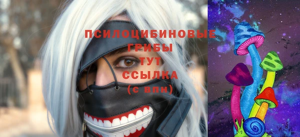 индика Алексеевка